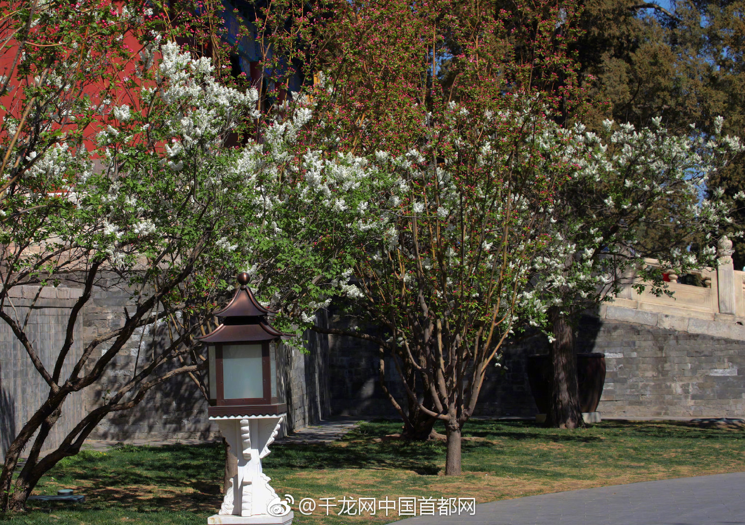孩子说脏话咋办?试试这么做_无影云桌面