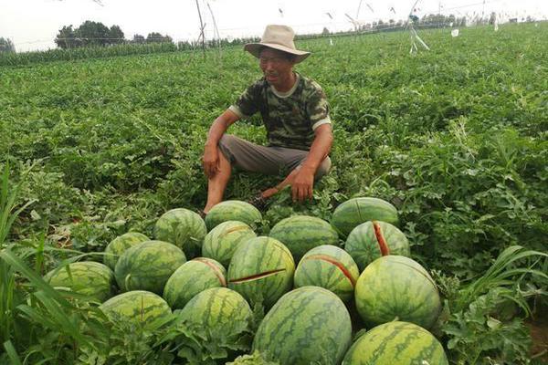 范冰冰回应黑粉抨击