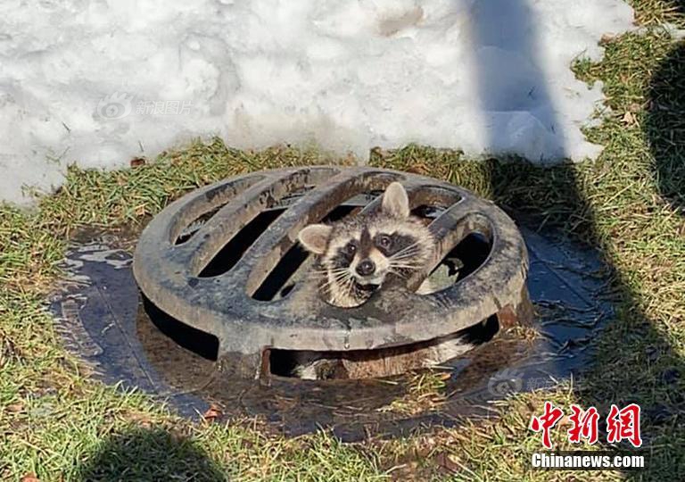 老百姓一年买下413家门店_云服务器5M带宽