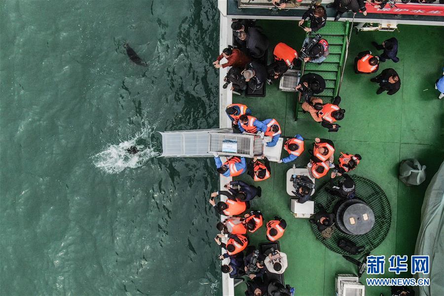 清军打不过的英军为何在非洲吃亏
