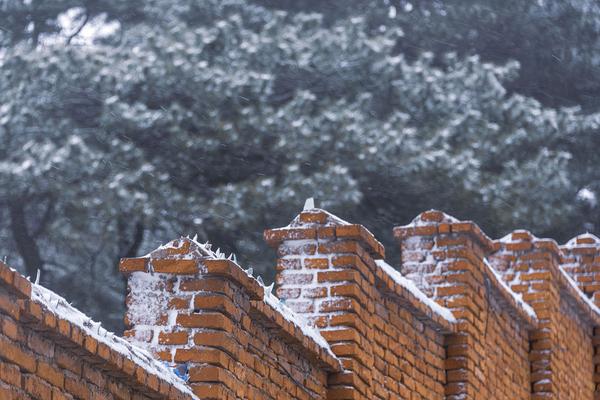 DOTA2国际邀请赛TI9时间表曝光