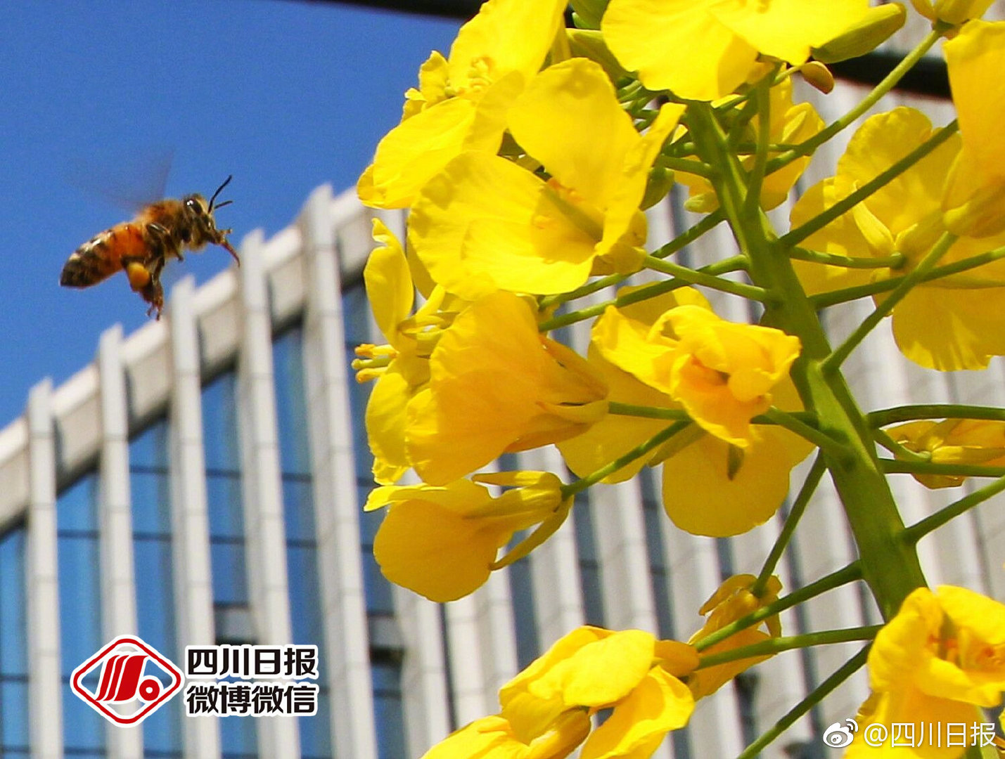 买到了域名怎么绑定网站