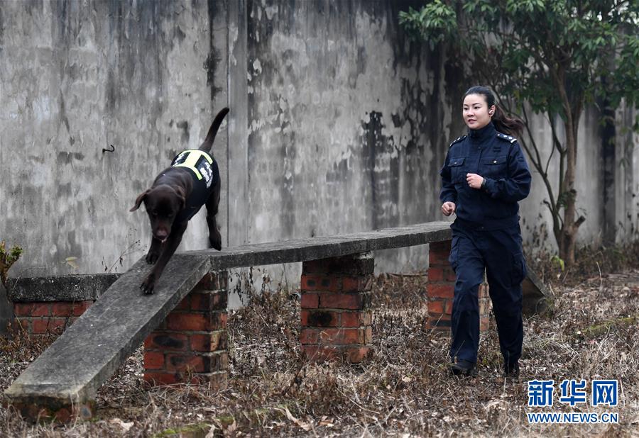 当年的童星现在都去夜市摆摊了?