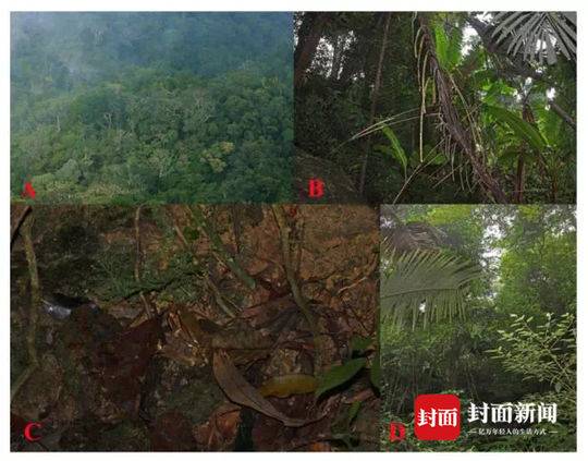 双一流高校漫步:厦门大学