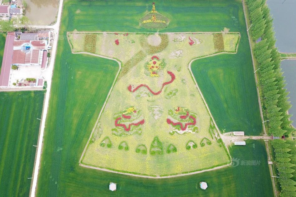 新青年耀青春 关晓彤杨幂热巴等宣誓接力_域名注册