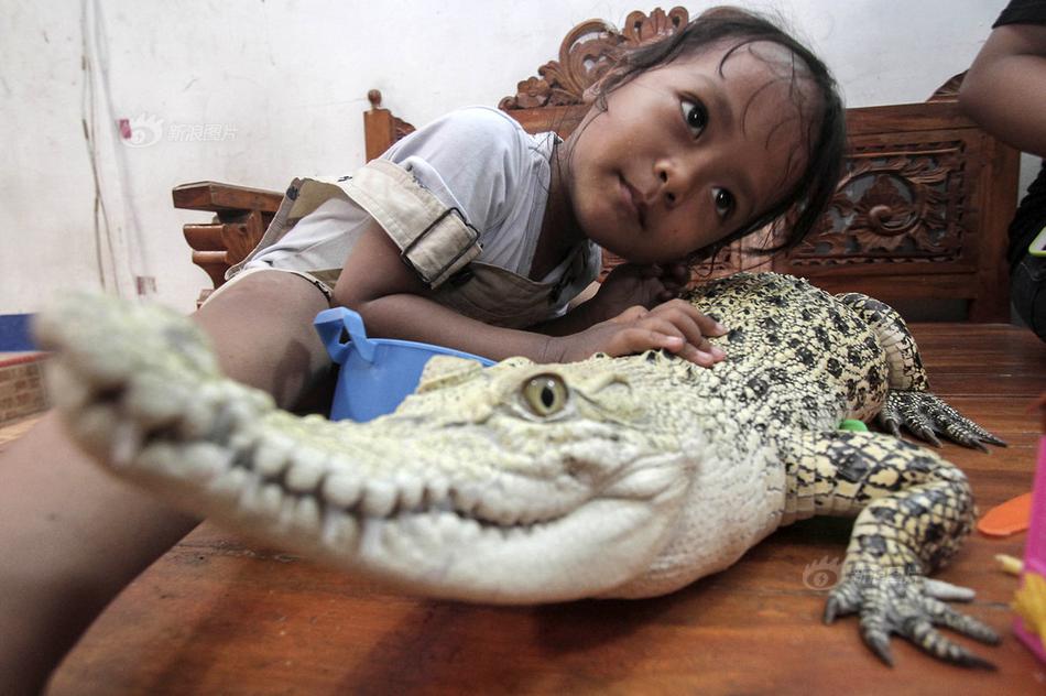 你减肥失败真正原因在这_华北云服务器