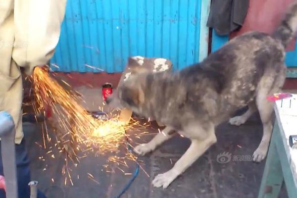上半年 这些科学新成果或改变你我生活_云主机