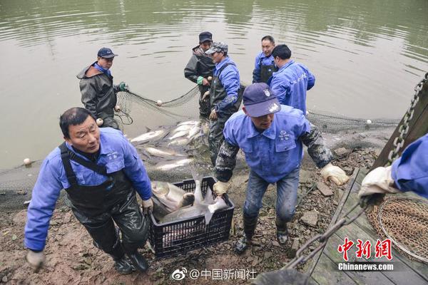 一艘4万吨新巨舰首次与国产航母同框了!她来大连准备干什么?_云电脑服务