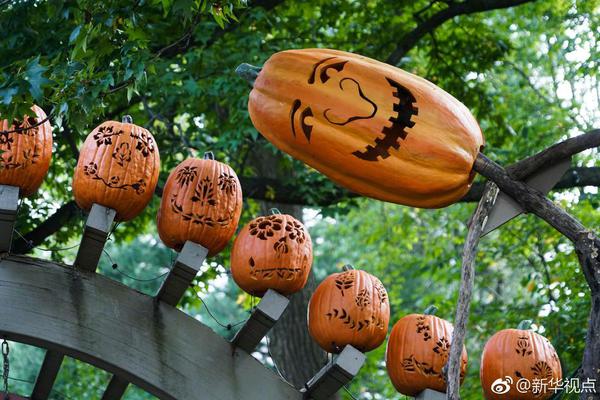 严惩不贷!盗走400万年钟乳石游客落网_9929解锁ChatGPT
