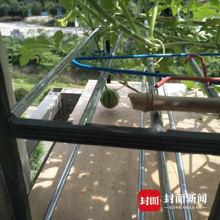 标普500连续3日创收盘新高,Alphabet暴跌近8%