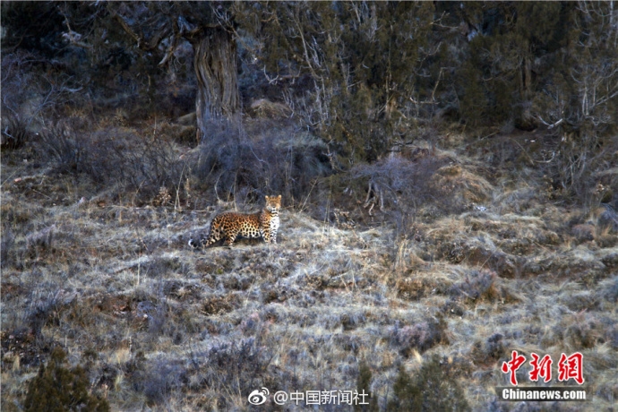 教育部直属高校财政拨款_9929高并发业务