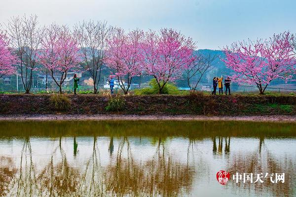 4月28日,2019中超联赛第七轮的比赛打响,北京中赫国安主场迎战大