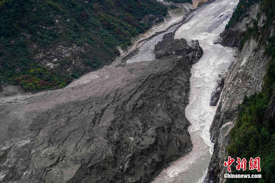 深圳高考移民抢清华名额?_CN2 API服务器