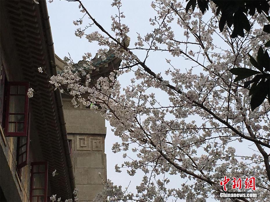 美联社评大师赛|坏天气将伍兹送进领先组 决战小莫_9929纯净IP