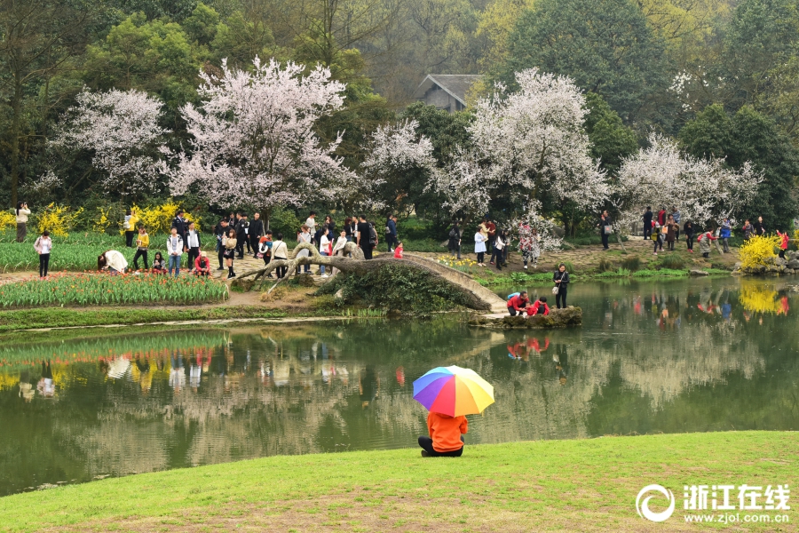 MOBI域名_挂机宝价格