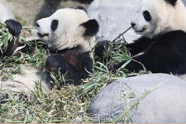 GPU服务器_视频剪辑云电脑