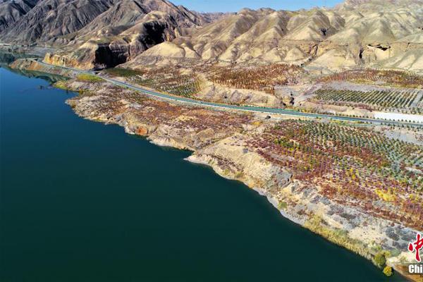 .COM域名