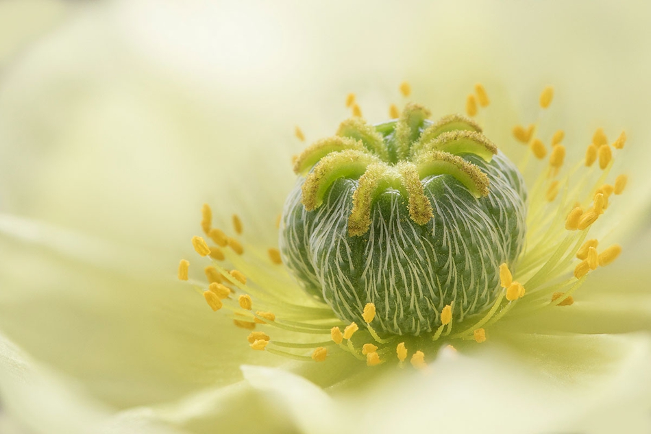 台七大顶尖高校预算之和不敌大陆“排最后”的武大_市场咨询
