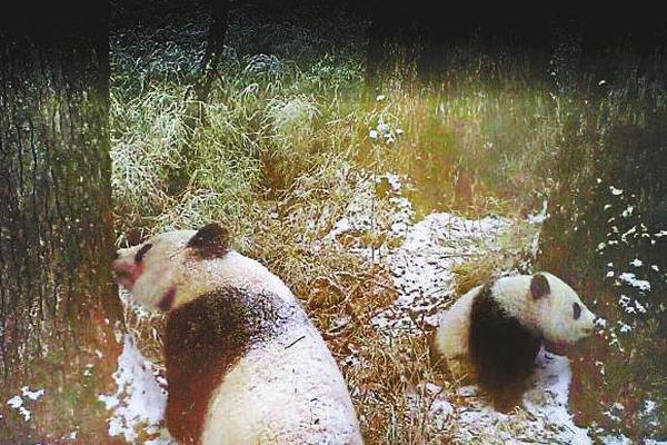BGP云服务器是什么_云服务器8核32G