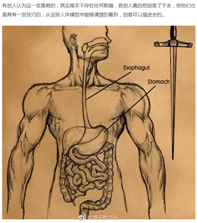 热刺大将赛场恐怖飙血_CN2服务器远程办公