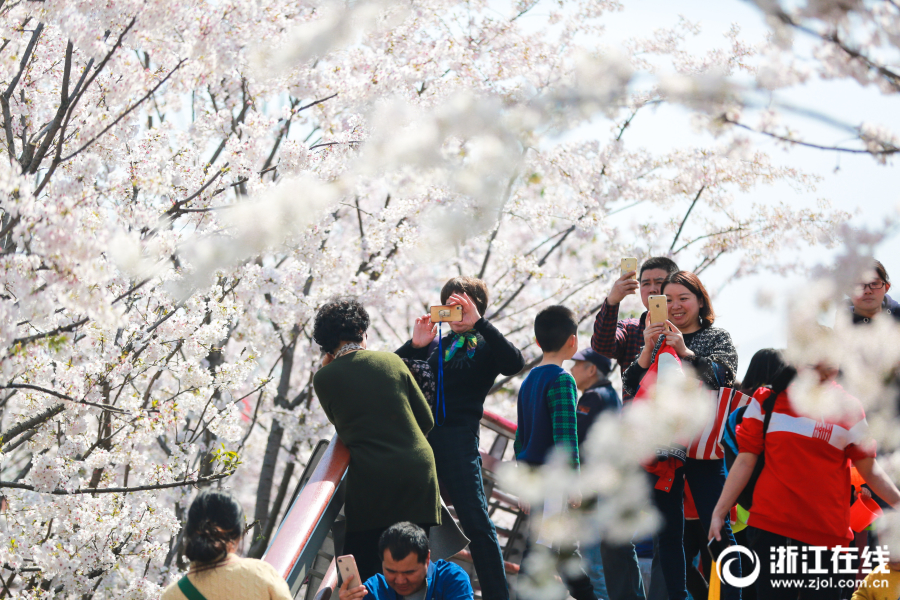最前线丨盒马开业三年首关店，要开始考虑盈..._域名备案