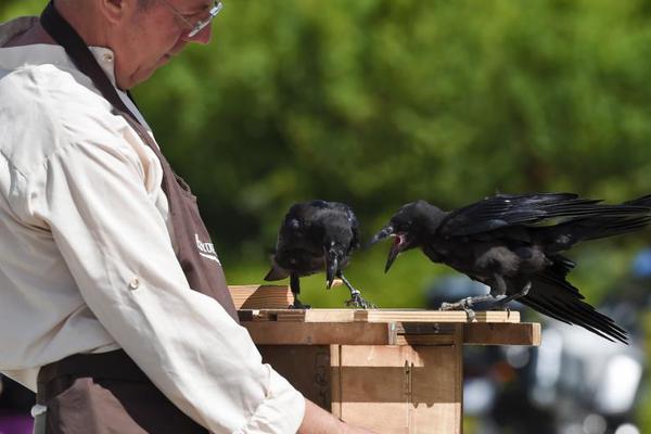 18:30视频播CBA总决赛广东新疆第三战 八冠王力争赛点