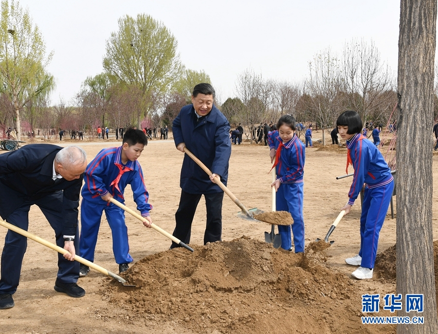 菲律宾发现新人类物种:距今超5万年,疑似人类近亲
