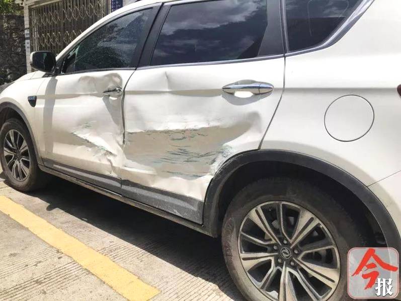 寻访“海龟天堂”：中国最大的海龟产床什么样？_云电脑挂机刷资源