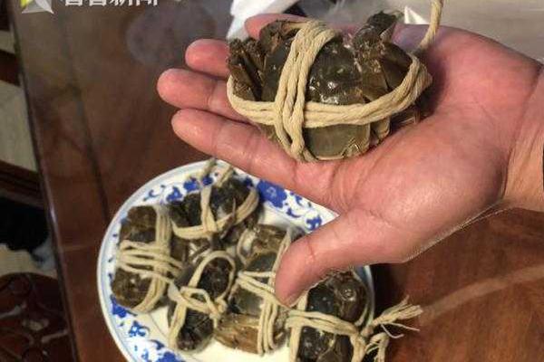 暴雨后的多肉植物花园,洗尽铅华之美只与你分享_对象存储