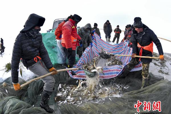 爆款活性炭暖脚器,时尚暖脚新方式_CN2服务器远程办公