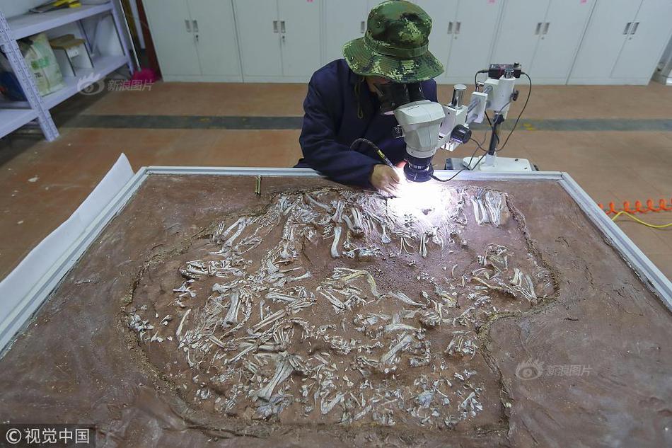 RED域名是什么意思_9929建站