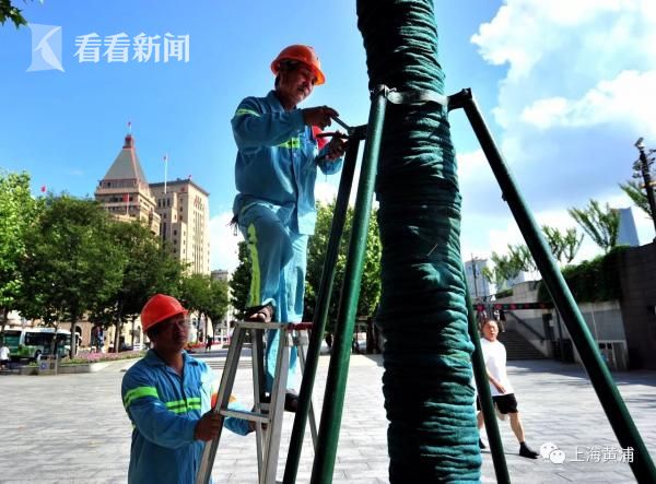 Q2财报符合预期,但疲软的iPhone促使苹果变软_百度智能云服务器