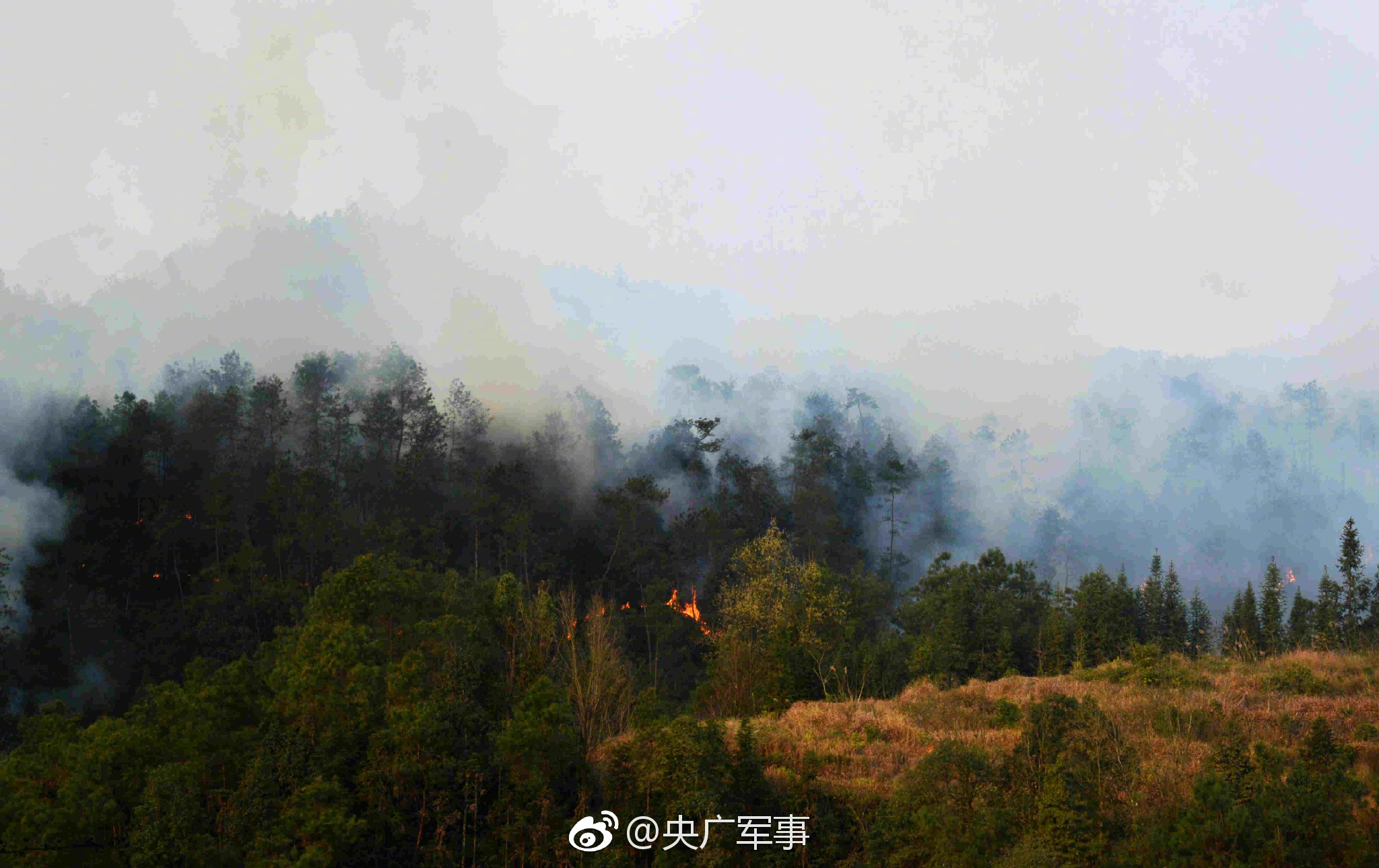 习近平同梅迪纳互致贺电_CN2服务器防御