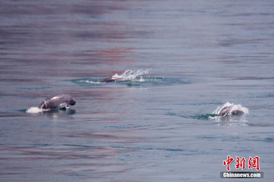 ECS云服务器