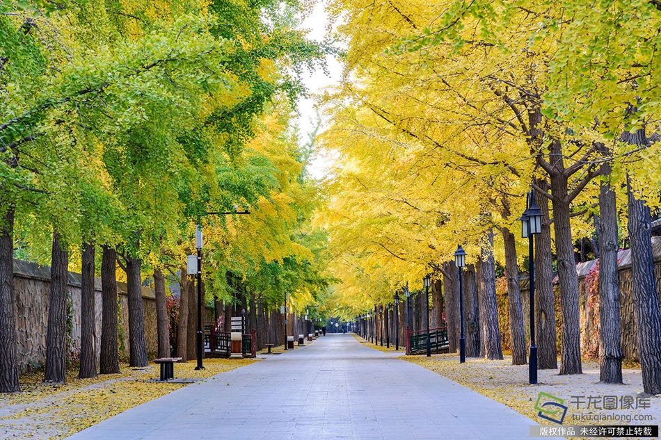 偏偏这一刻,我扛不住了!_电信CN2服务器