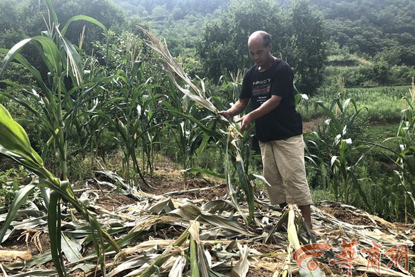 5G将触发VR/AR产业的爆发与成熟