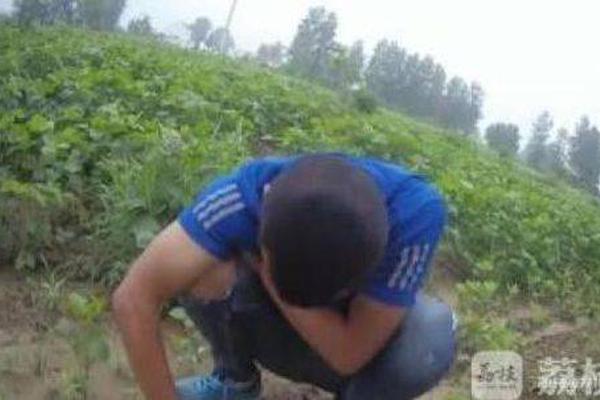 北大弑母嫌犯舅舅:已原谅他_9929双ISP