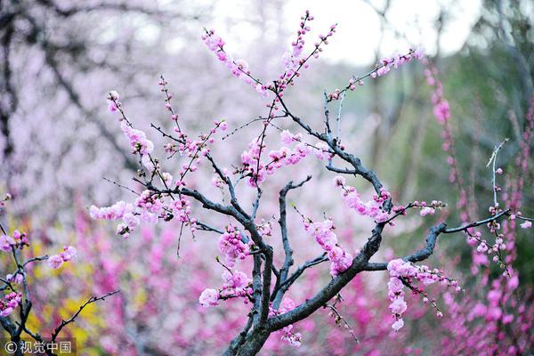 .CN域名