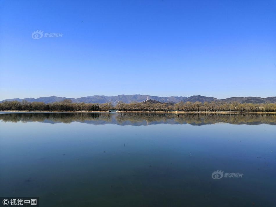带上望远镜，去这些地方“偷窥”鸟儿谈恋爱
