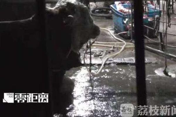 别看韩剧了!这才是百年前真实朝鲜