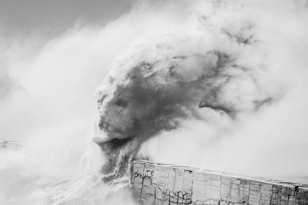 .RED域名
