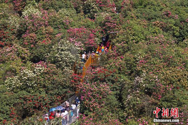 金诚集团涉非法集资:实控人被捕_云电脑零基础