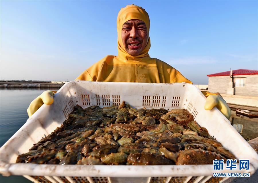 实拍男模走秀踩鞋带摔倒身亡 观众以为在表演_国内有哪些云服务器的提供商
