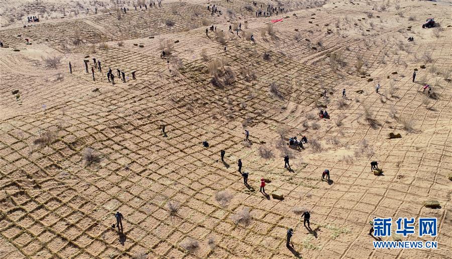 中国应用在美国悄然兴起:一季度收入超45亿元_CN2云主机