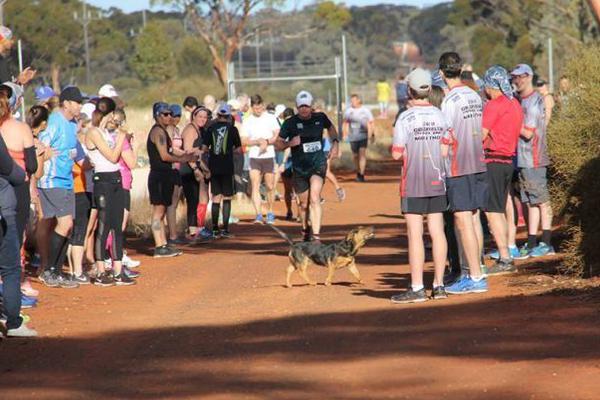 IPV6网关_云电脑替代传统电脑