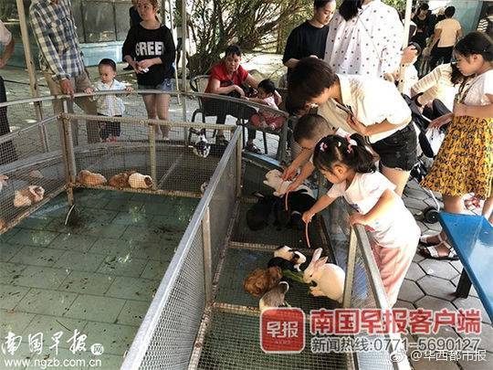孩子智商高低可以这样看出来?