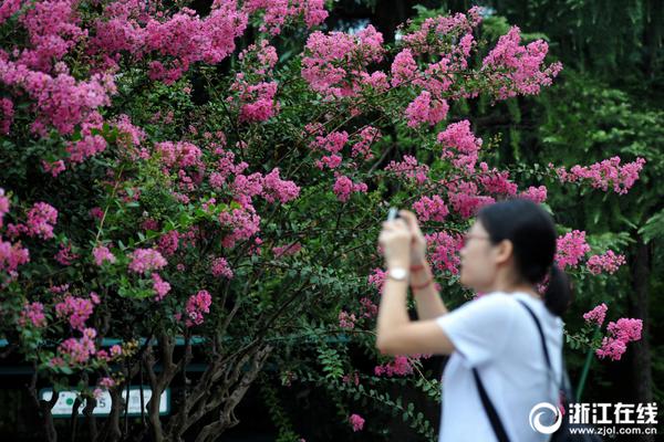 毛坦厂中学旁两居室年租金3万