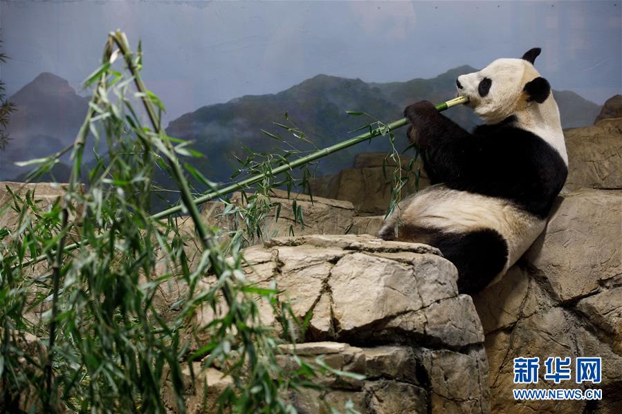 4核8G·5M超值优惠,618大促_9929建站