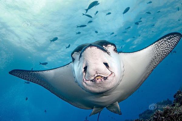 企业邮箱怎么改密码_数据库云服务器