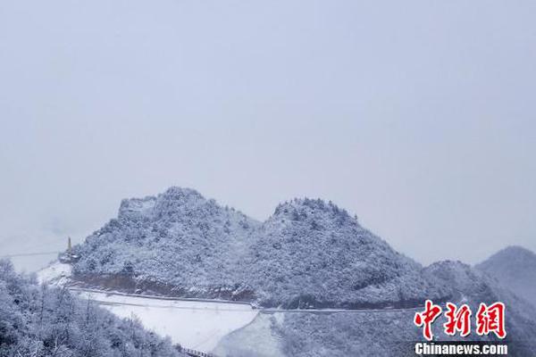 前曼联名将正式宣布退役_市场咨询